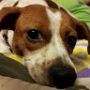 Meet your Posher, Melody